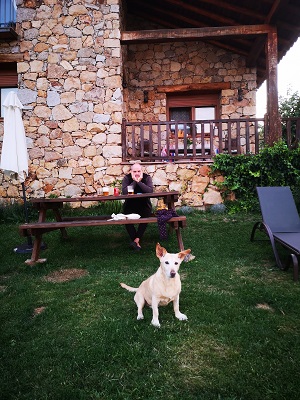 Casa rural que admite perros. Perro en la Casa del Altozano.