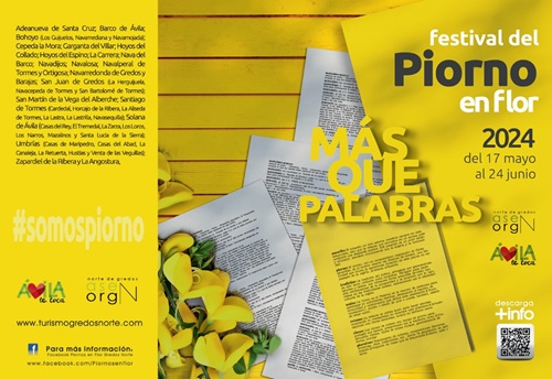 Cartel del Festival del Piorno en flor 2024
