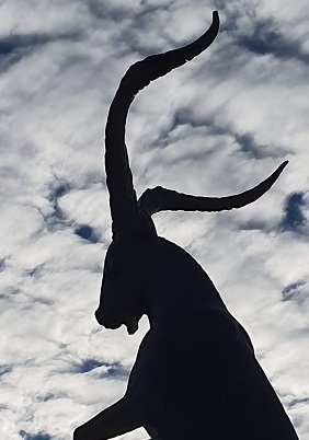 Escultura en homenaje a la cabra de Gredos, en Hoyos del Espino. 