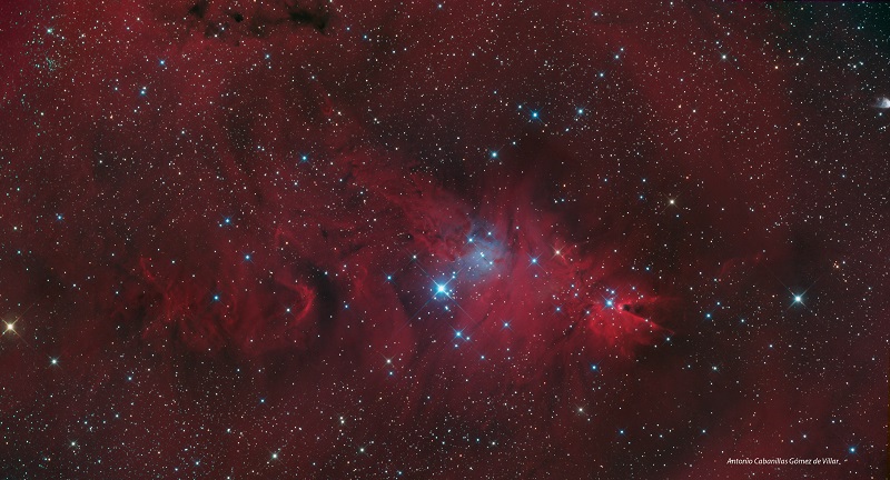 Nebulosa Árbol de Navidad. Foto: Antonio Cabanillas.