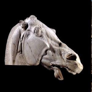Esta es la cabeza del caballo más conocida de la historia del arte  representa a uno de los caballo de la cuadriga de Selene. Está en el Partenón de Atenas y es obra del escultor Fidias, 442-438 a.c..