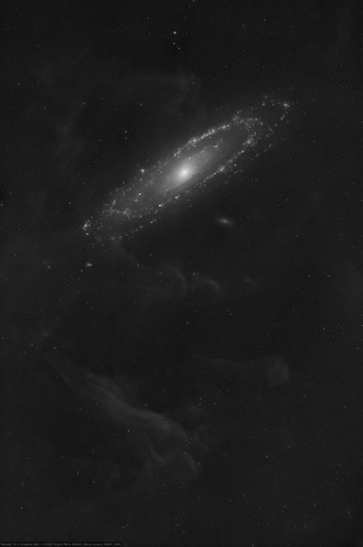 Leyenda y créditos de la imagen: Imagen de la galaxia de Andrómeda que muestra la emisión pura de la línea H-alfa, adquirida desde el Observatorio Astronómico de Aras de los Olmos . Vicent Peris ( PTeam / OAUV ), Alicia Lozano , OAUV , OAO . Procesada íntegramente con PixInsight 1.8.9. Haga clic en la imagen para descargar una versión a resolución completa (escala de imagen de 2 segundos de arco por píxel) .